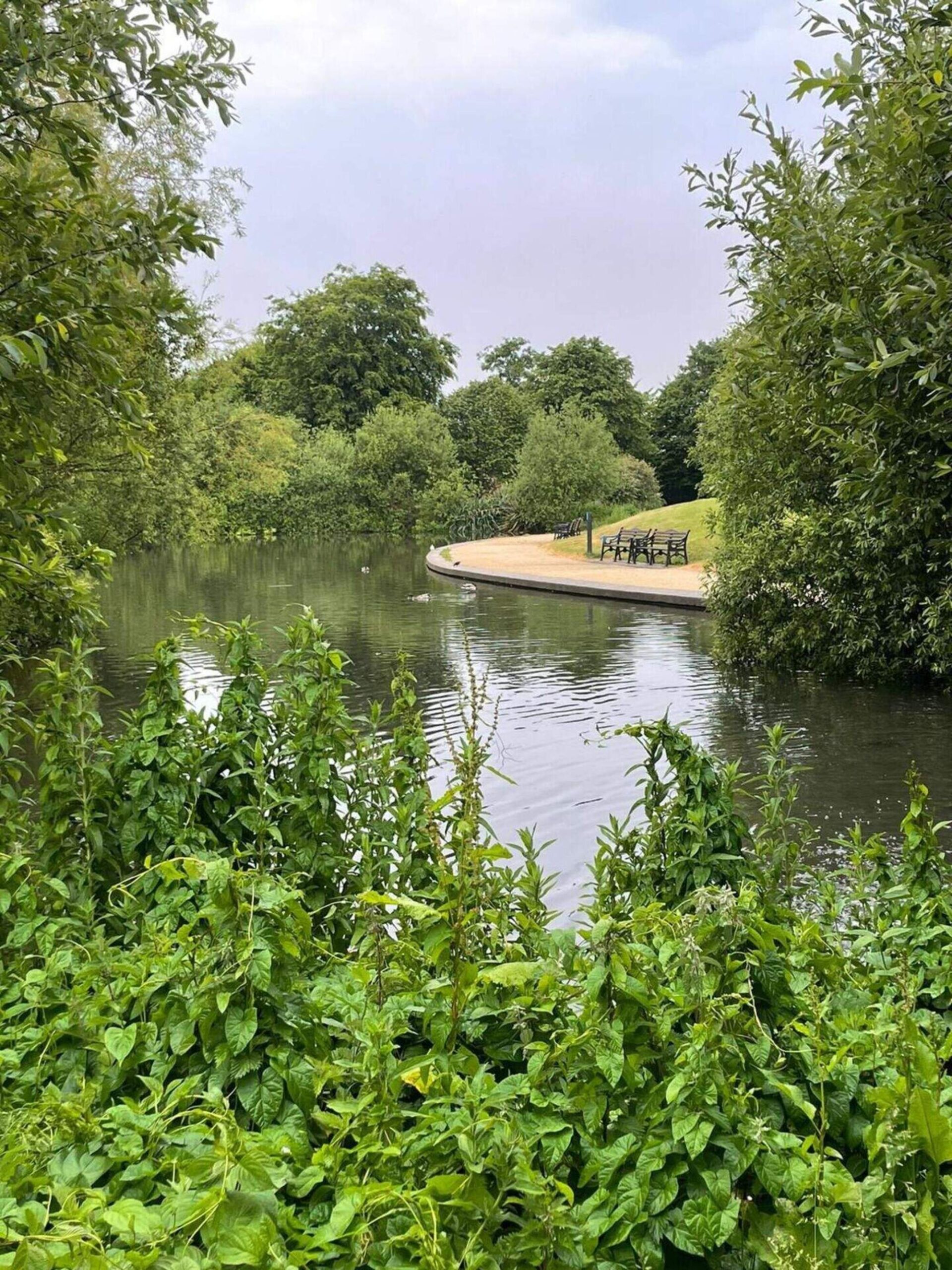 Calls for upgrade works at Dundalk’s Ice House Hill Park despite Green Flag status