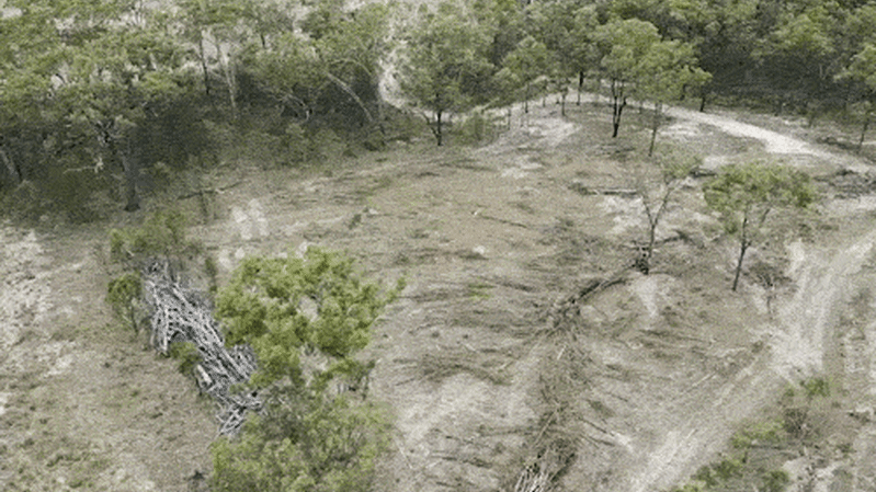 Can Australians have their burgers and their forests too?
