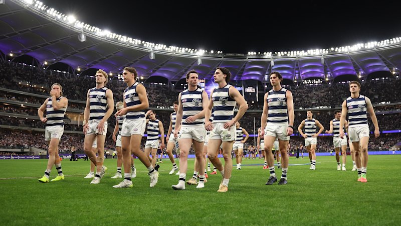 Cats lose twice as semi-final pain is salted by Butters’s decision to join Dogs