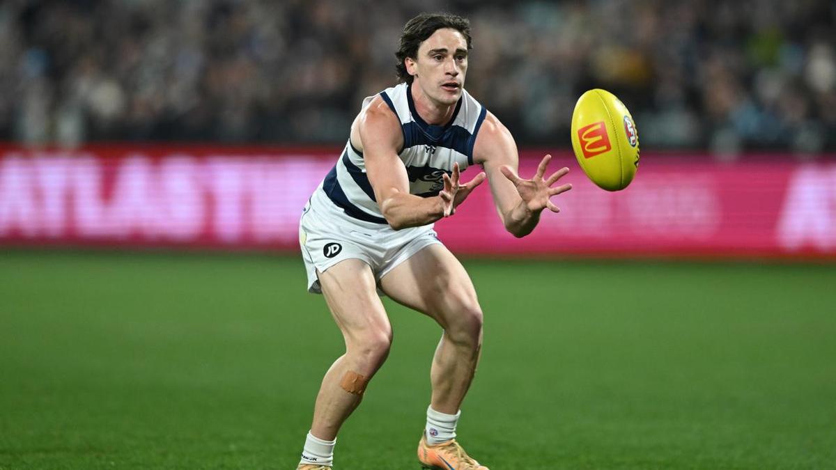 Cats star continues push for concussion answers