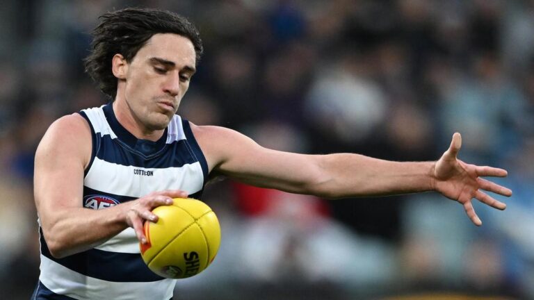 Cats star demands concussion answers for teammate