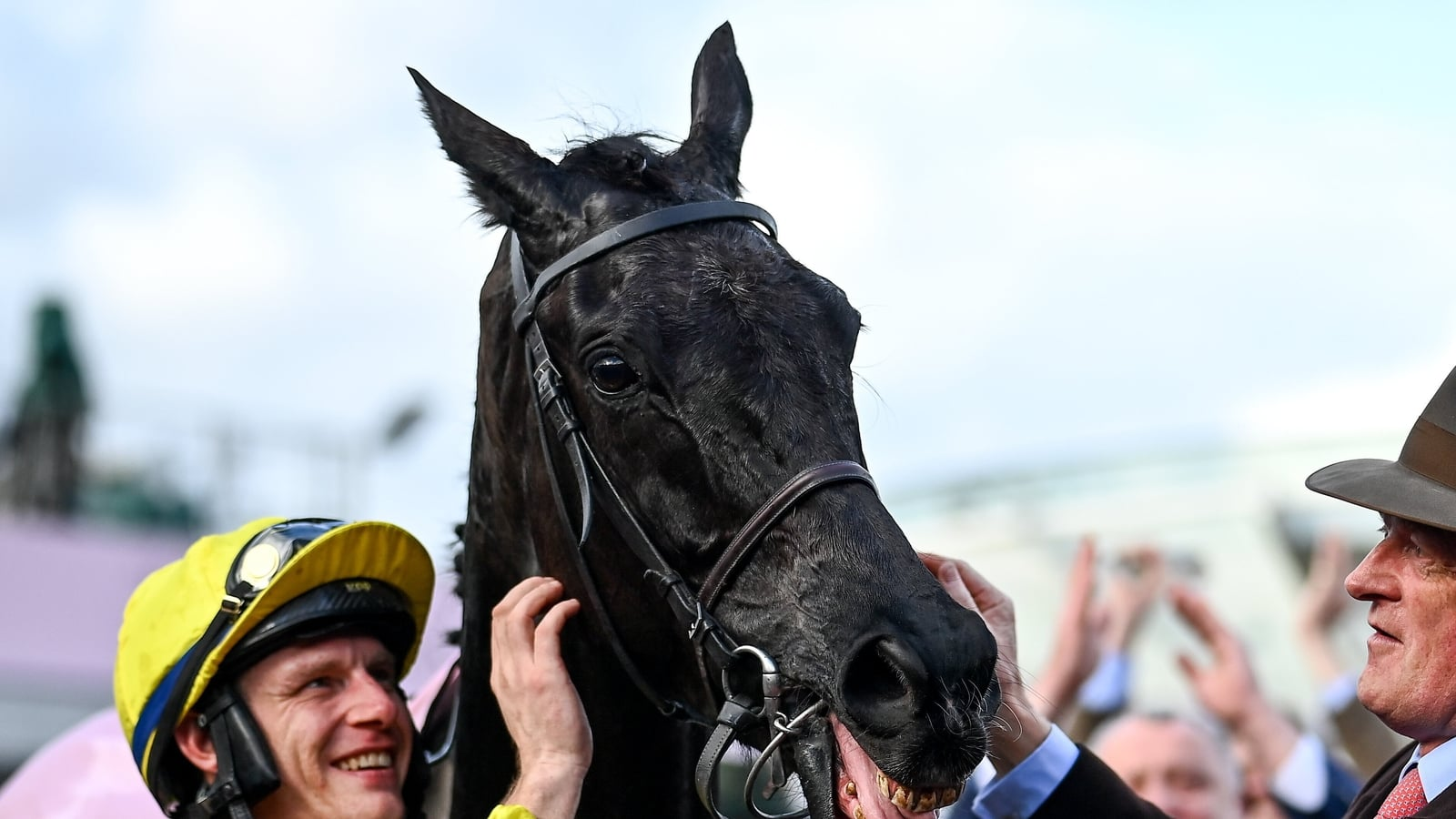 Cheltenham great Galopin Des Champs dies aged 10