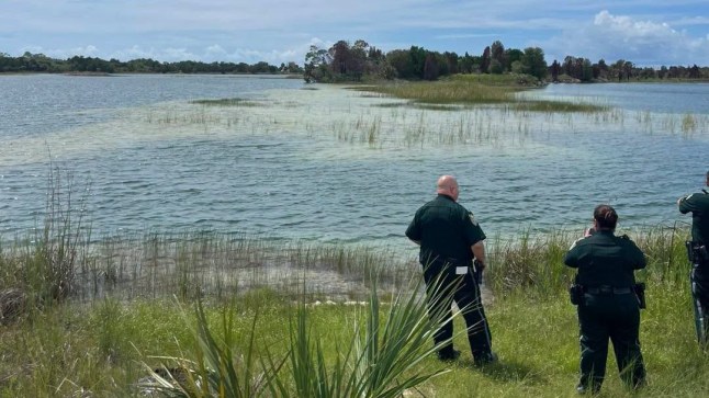 Child attacked by alligator after going into ‘no-swim zone’