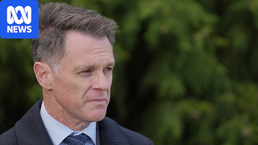 Children hired by underworld the target of NSW gang violence crackdown