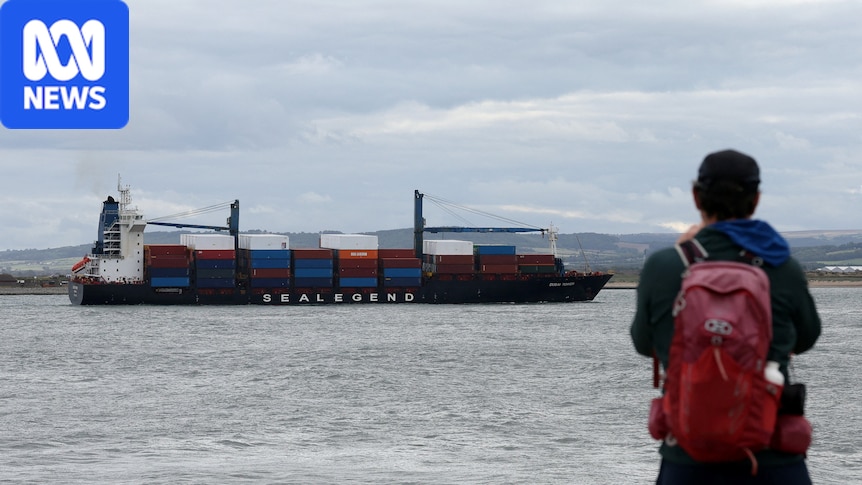 Chinese cargo ship nearly halves time to UK via 'Polar Silk Road'