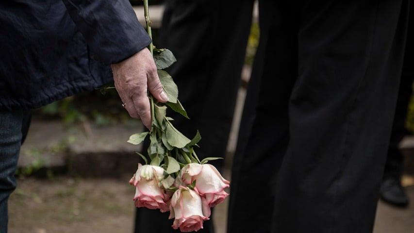 Choosi misled life and funeral insurance shoppers after 300,000-ad blitz, Federal Court finds