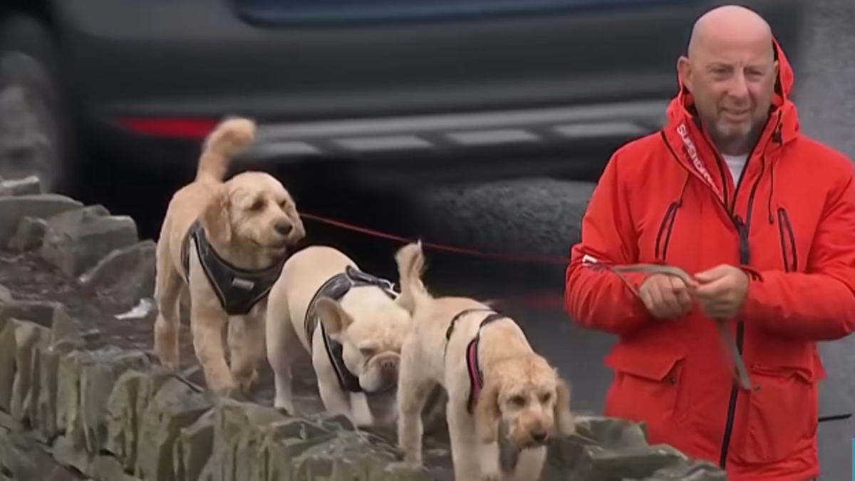 Clare man finds sudden fame walking dogs during Walker Cup — ‘Cars stopped to tell me I was on TV’