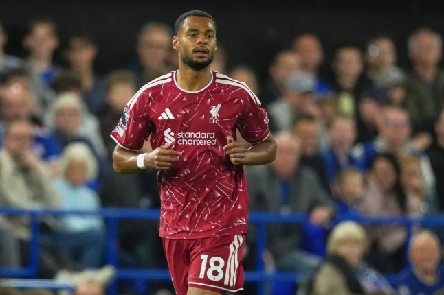 Cody Gakpo injury update after Liverpool star misses Atletico Madrid clash