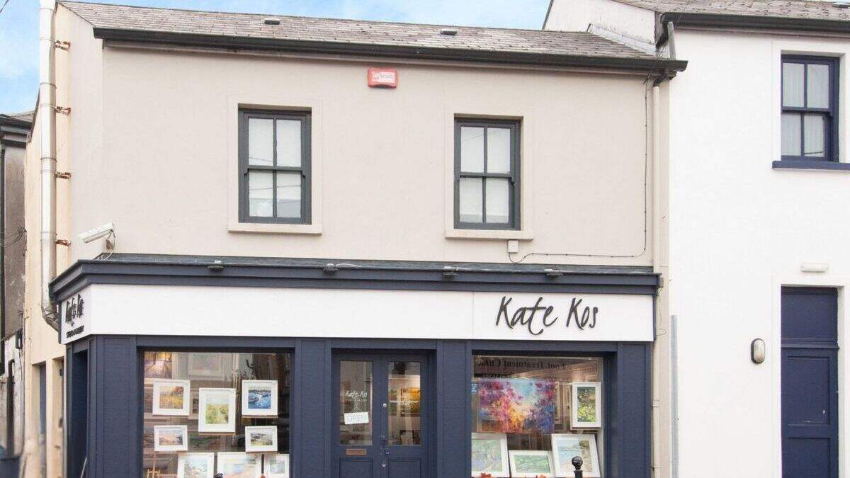 Commercial building and former art studio in Wexford to be auctioned off with €199,000 asking price