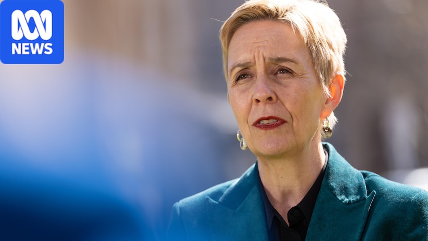 Commissioner 'deeply worried' by sexual violence trajectory