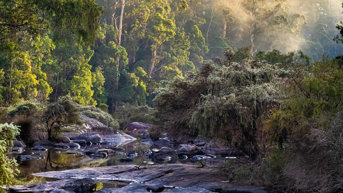 Conservation Council of WA to host inaugural Regional Gathering in South West – Protect. Restore. Transform
