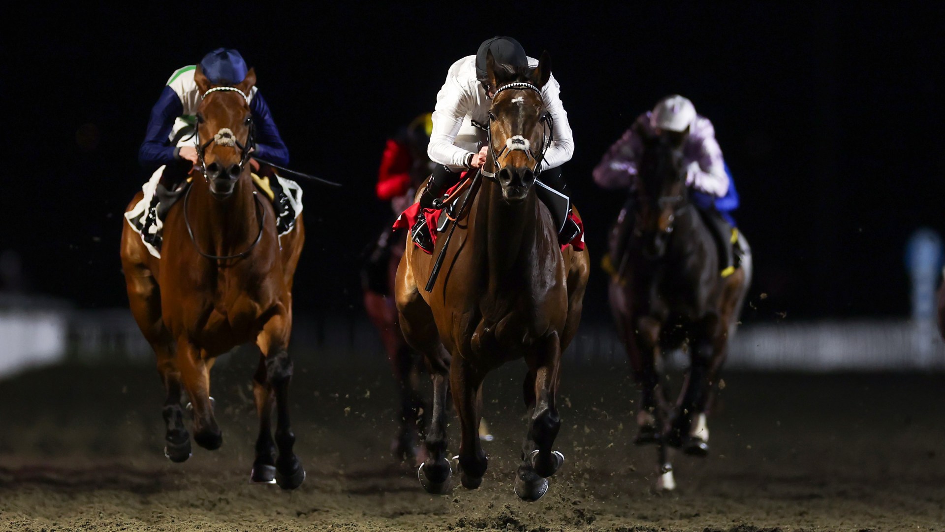 Constitution Hill gamble surges as Nicky Henderson’s star puts £2.4m future on the line