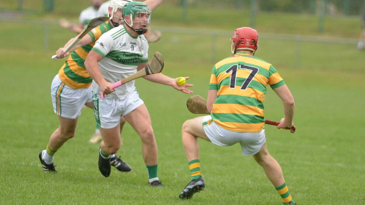Cork Senior Hurling previews: In-form Charleville square up to Newtownshandrum again
