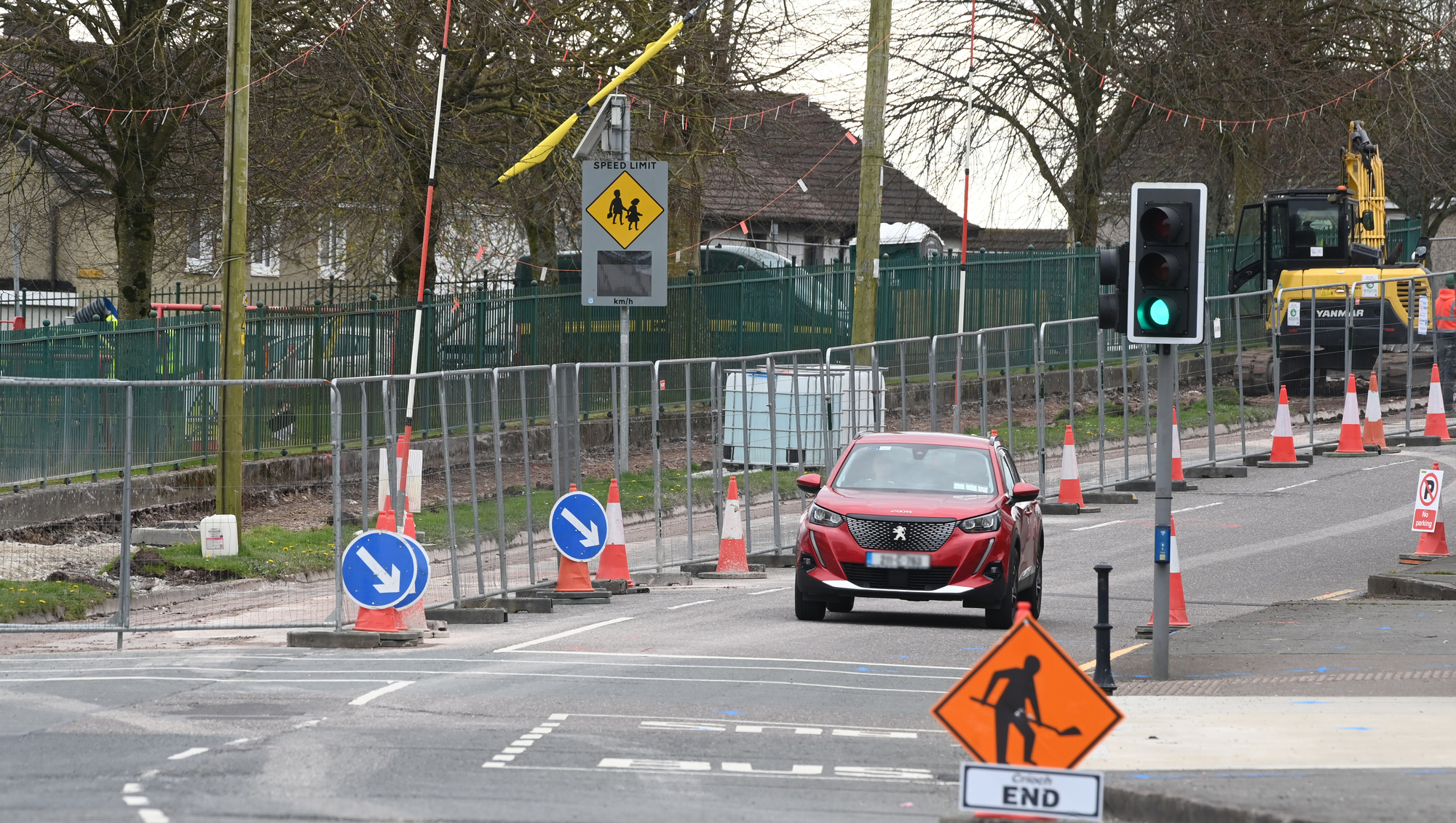 Cork councillor threatens to chain himself to trees over €7m cycle path project