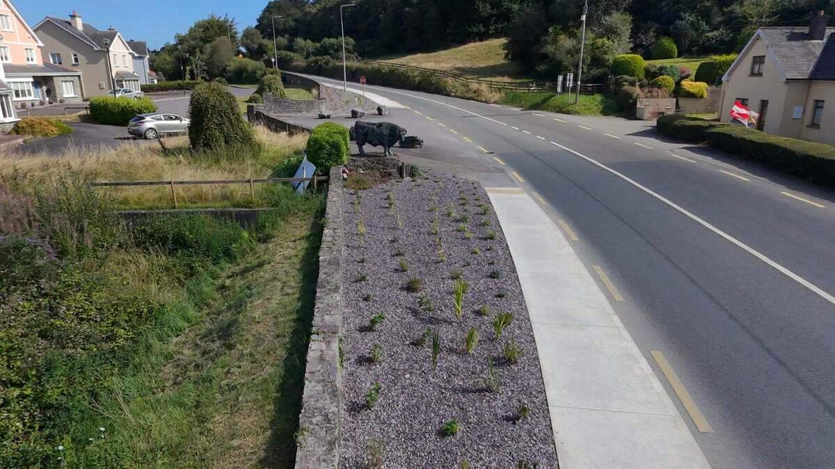 Cork town firmly thinking of the bees as it unveils new pollinator corridor around iconic statue