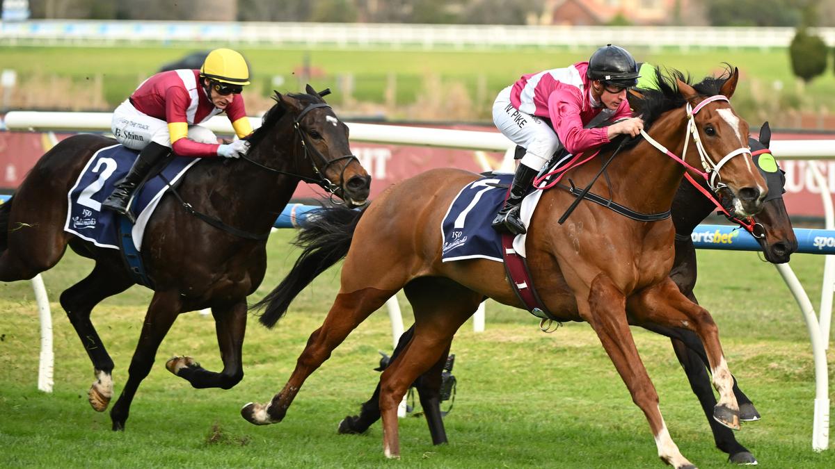 Cosmic Crusader a firm favourite for Victorian Group 1 win in Saturday’s Underwood Stakes at Caulfield