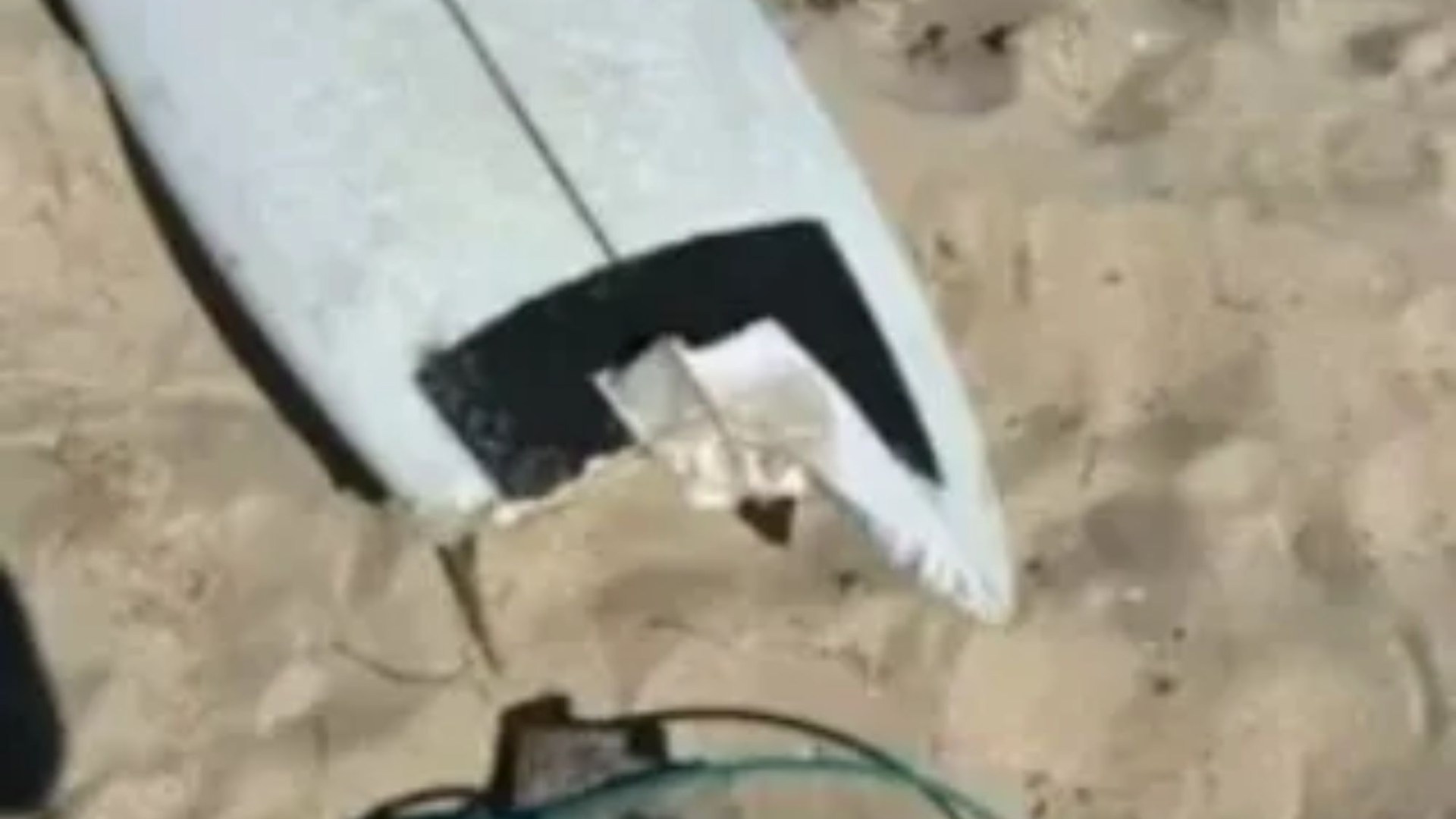 Dad mauled by shark as beast ‘rips off his foot’ in savage attack while surfing alone off popular beach