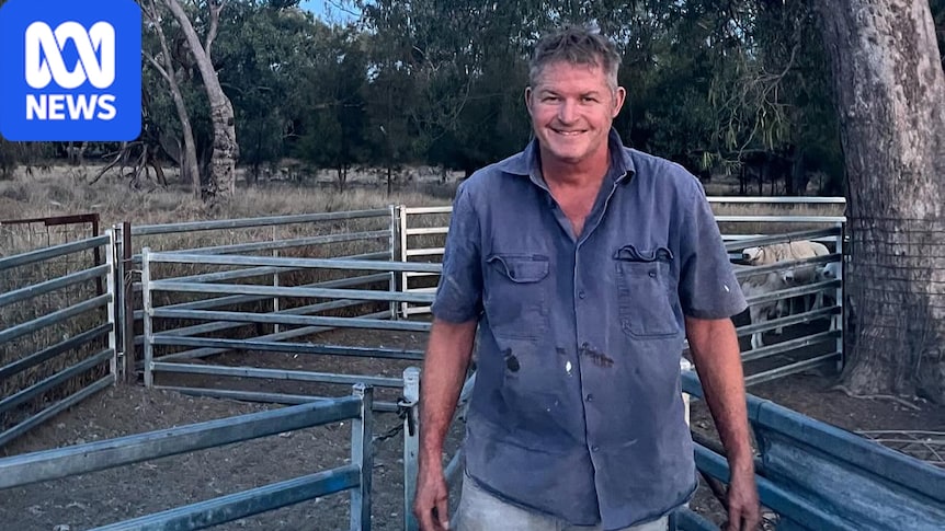 Dairy company founder and daughter die in light plane crash south of Brisbane