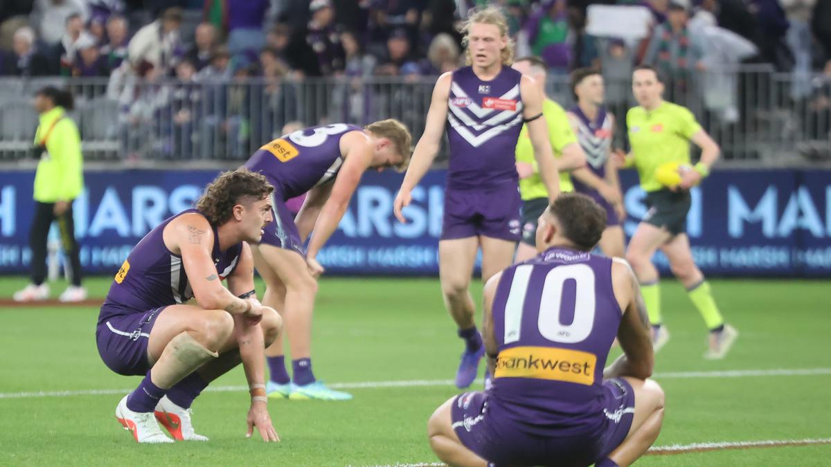 David King warns Fremantle Dockers players that failing in successive finals could cost them their career