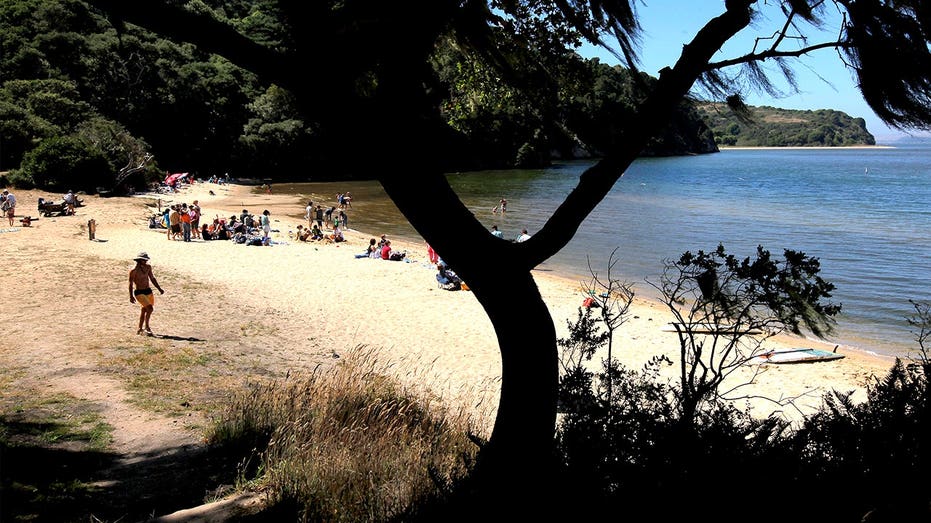 Deadly mystery unfolds as canoeists are found unresponsive after midnight trip