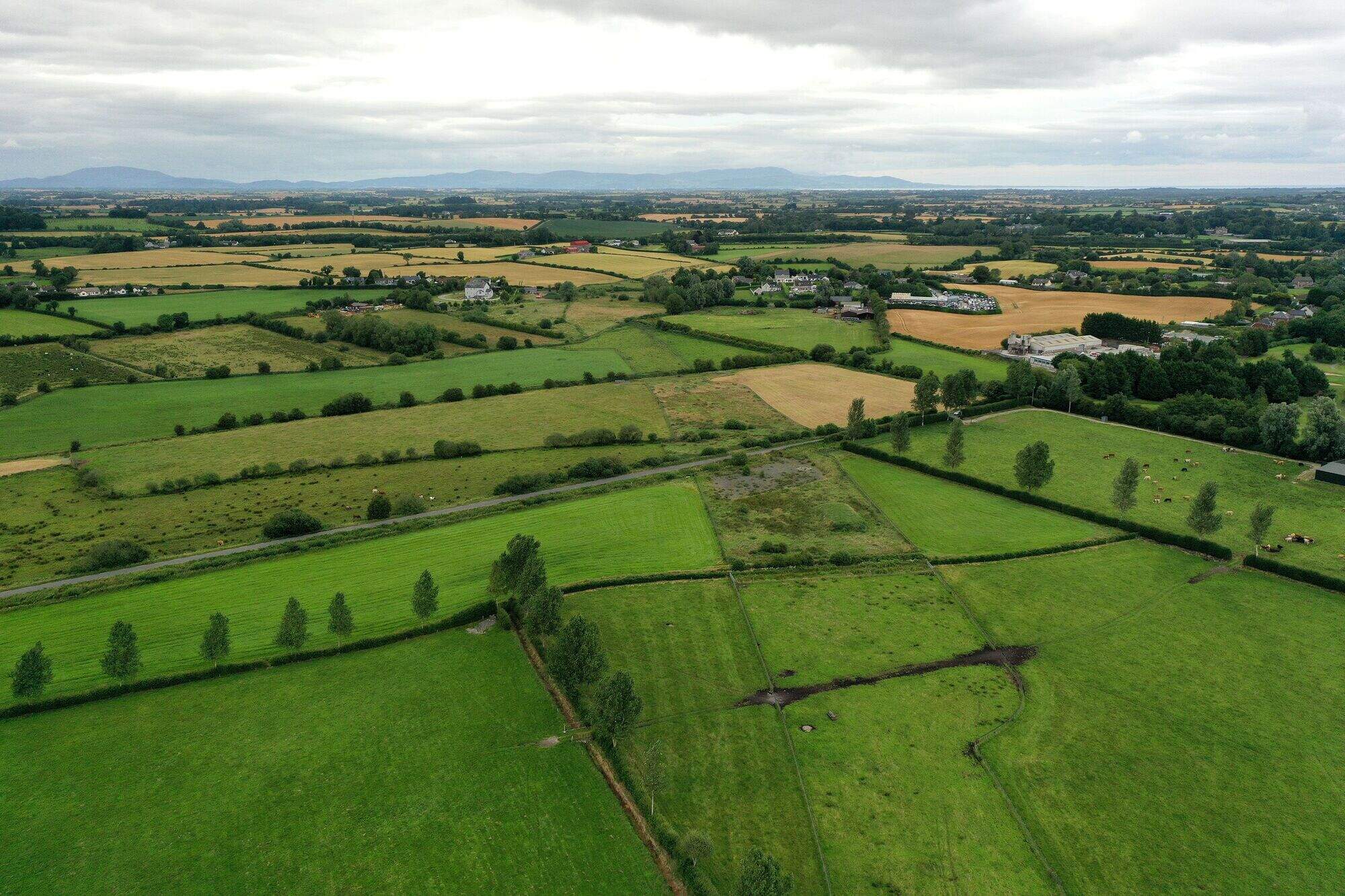 Decision on Ardee Bypass Supreme Court appeal expected next month