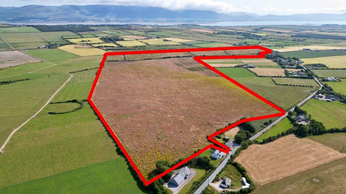 Deep-pocketed Kerry shareholders tipped to vie for 106ac Ardfert farm