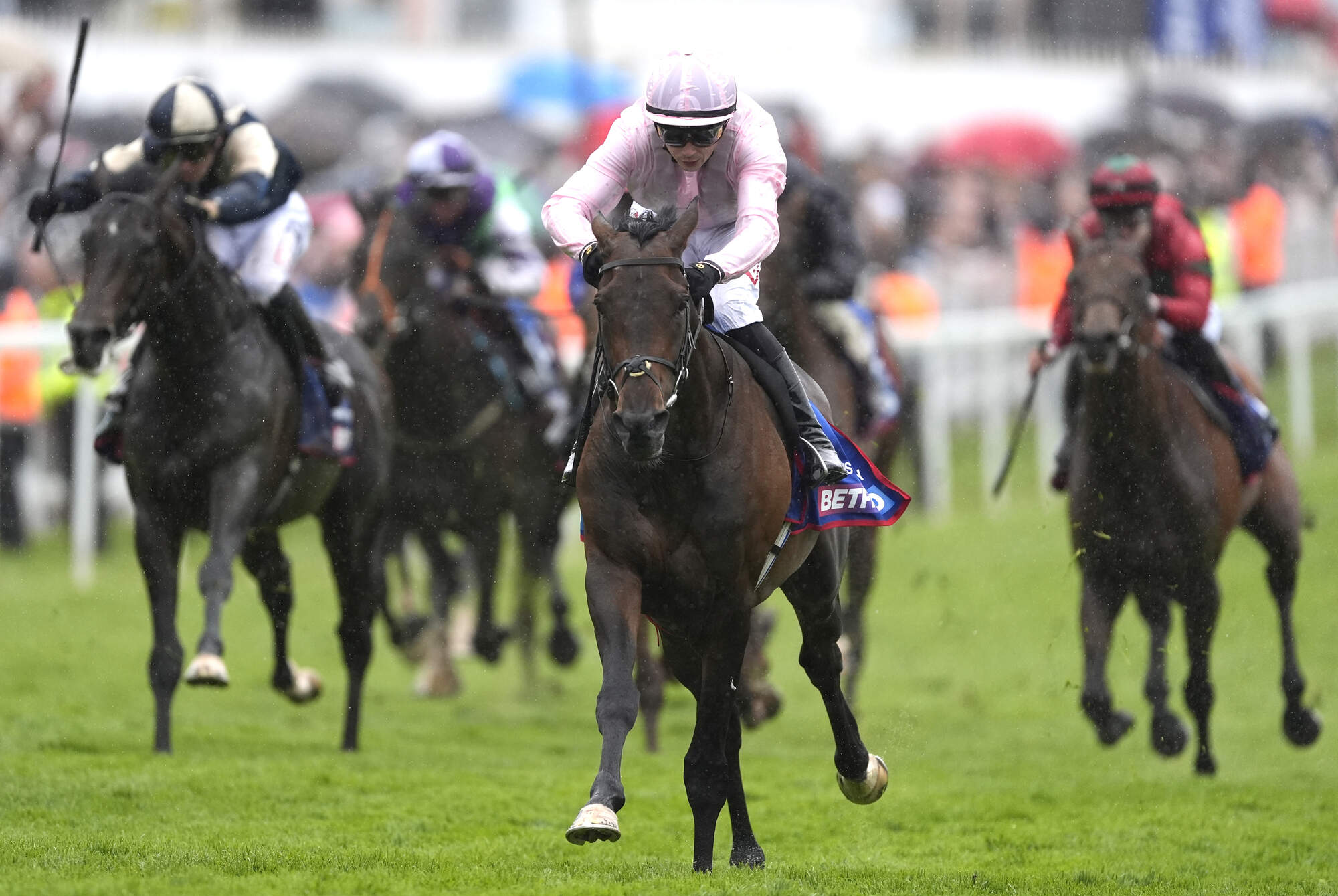Derby hero Christmas Day heads Aidan O'Brien’s entries for St Leger at Doncaster