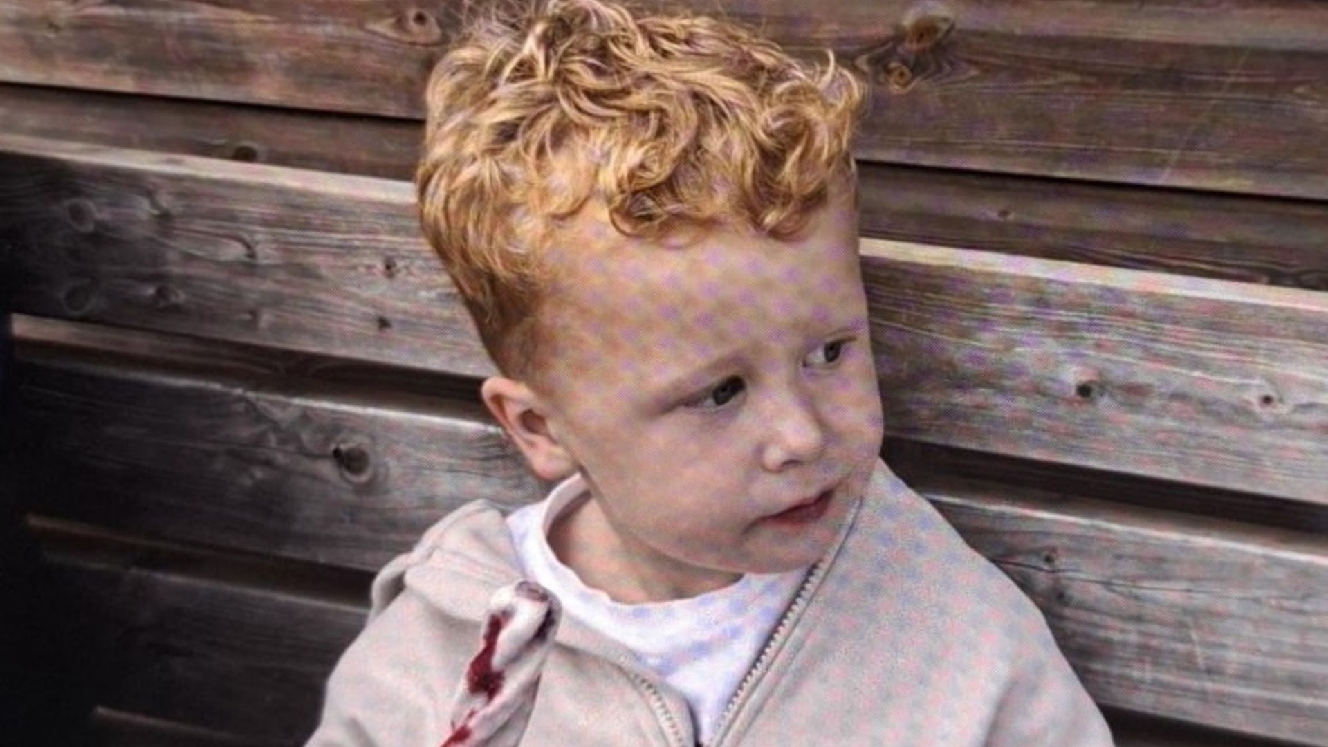 Desperate hunt for boy, 3, who vanished from village playground as cops ask locals to search their gardens and sheds