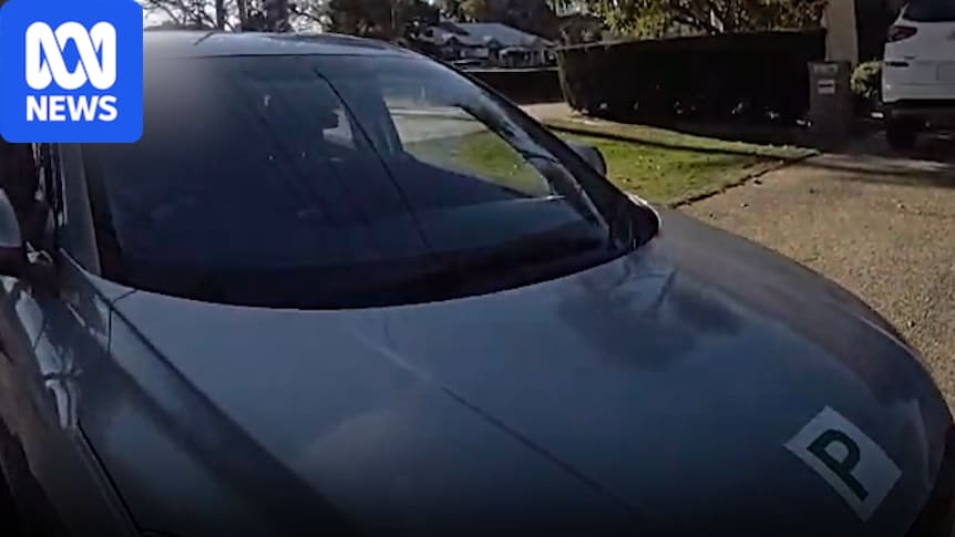 Driver fined $1,000 for allegedly buttering bagel at the wheel