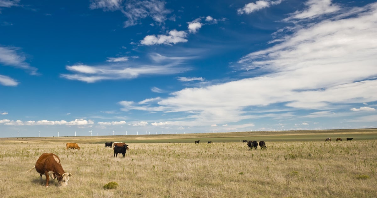 Drought, rising costs and beef import pressures squeeze Wyoming ranchers