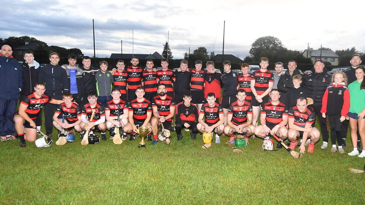 Duhallow GAA: Newmarket see off Meelin to claim Singleton Cup
