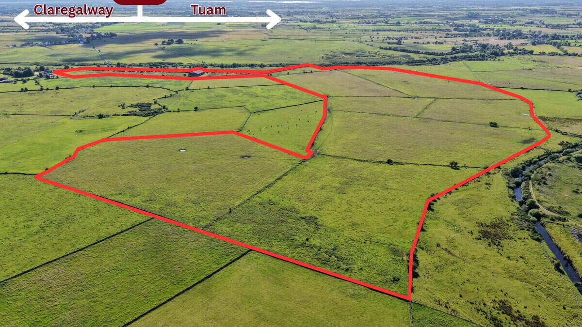 €1.2m sought for 84ac Galway farm with 1,000 sq m steel-frame shed