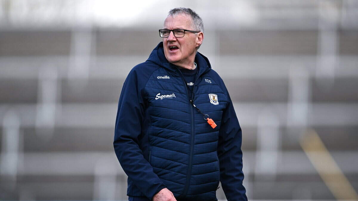 Eamon O’Shea and Ger Manley to manage Ireland teams for shinty internationals