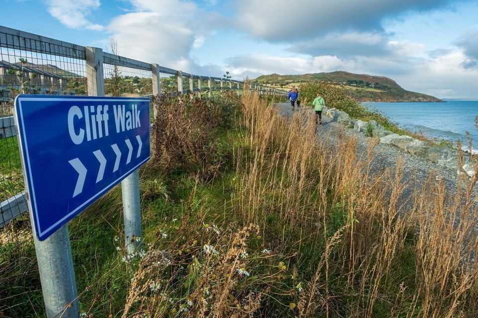 Ecological surveys completed as Bray to Greystones Cliff Walk safety works advance