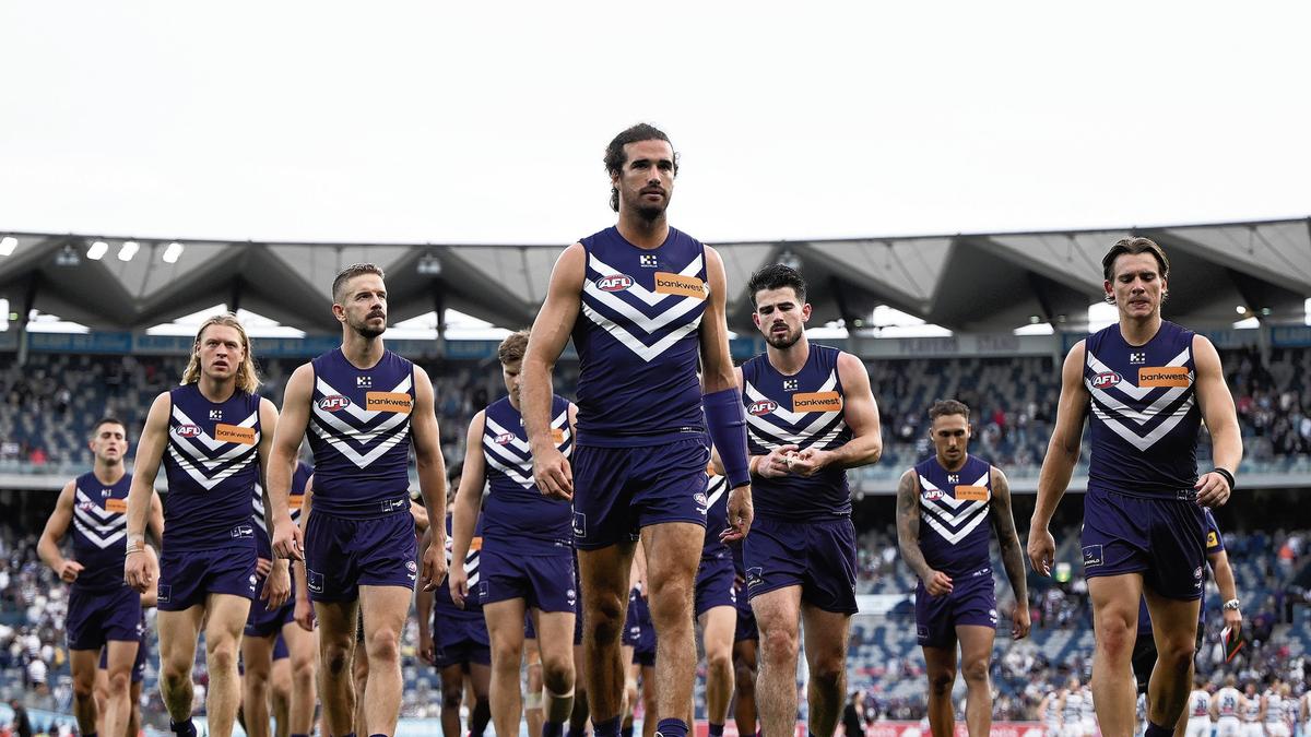 Editorial: Let’s get behind Dockers as history beckons