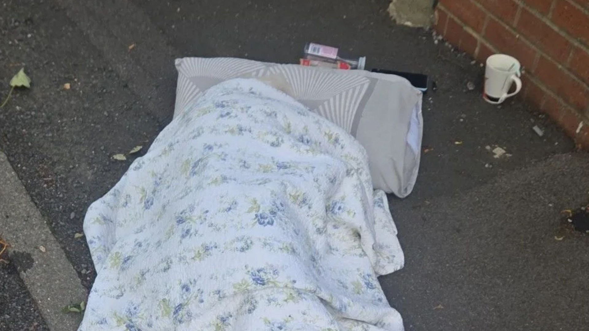 Elderly woman, 80, forced to lay on the ground for over FOUR hours as she waited for ambulance after nasty fall