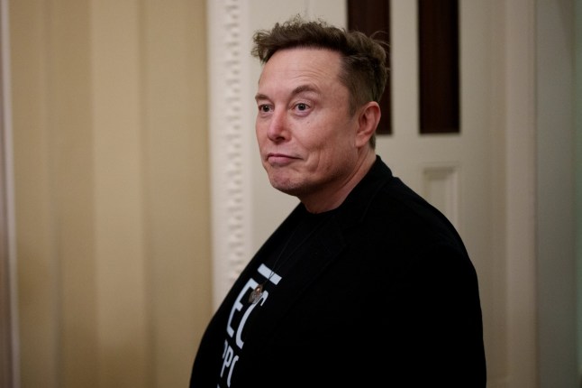 Elon Musk says AI is ‘only path’ to make everyone on Earth rich despite extinction fears