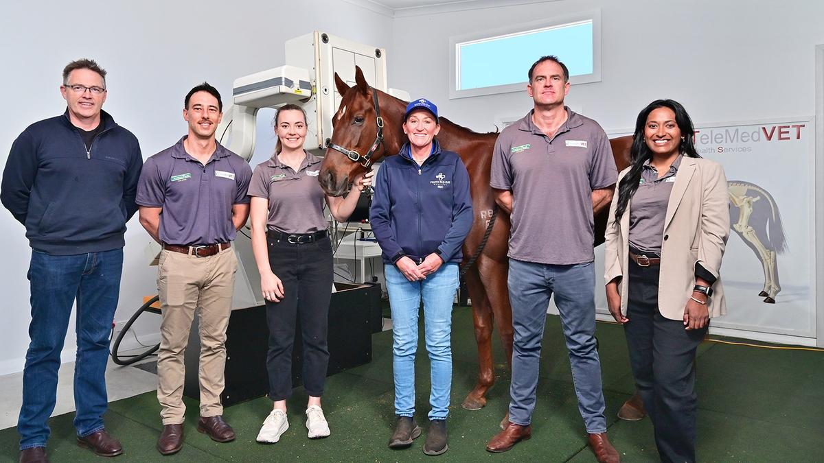 Equine welfare breakthrough gains further momentum as Perth-based company get international accreditation