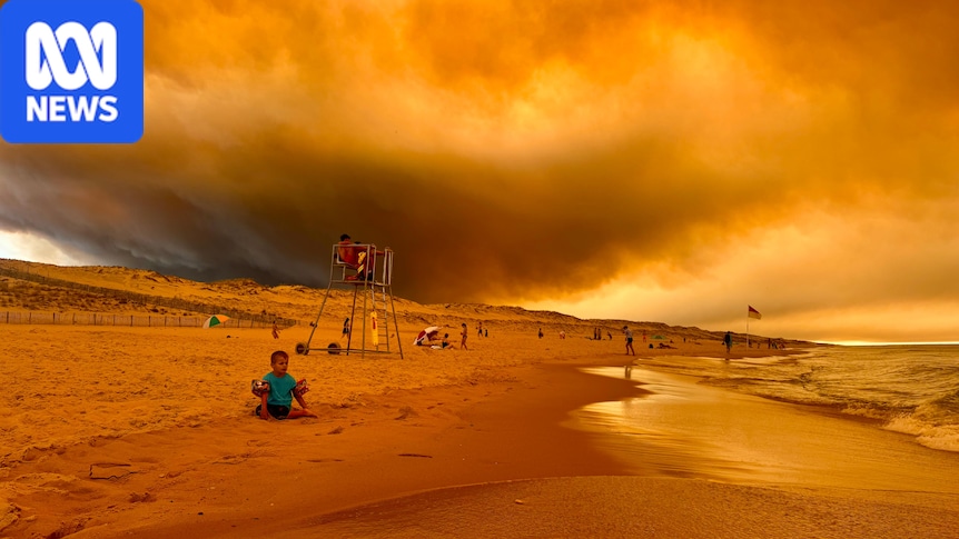 Extreme heat, fires and floods mark record hot month