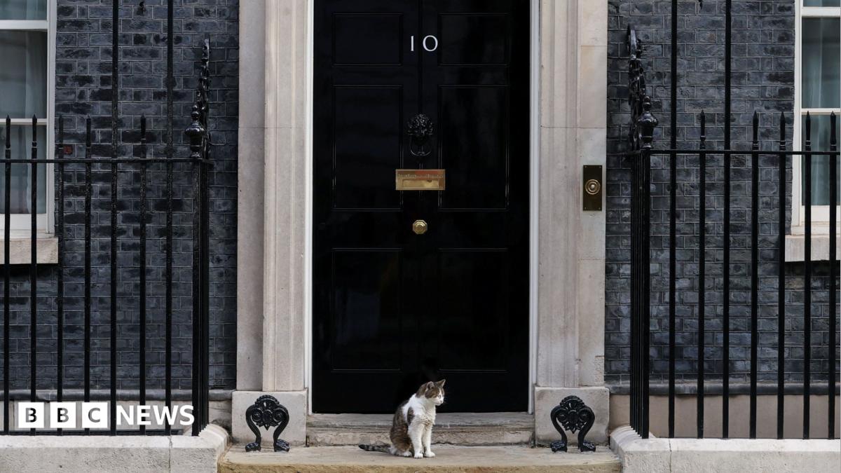 Fake 10 Downing Street listing exposes 'unfit' Booking.com, says consumer group