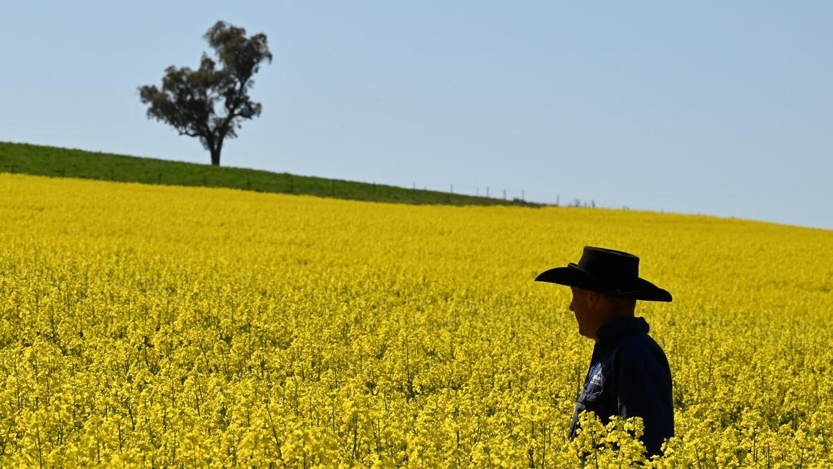 Farmers demand fair go in fight with fossil fuel giants