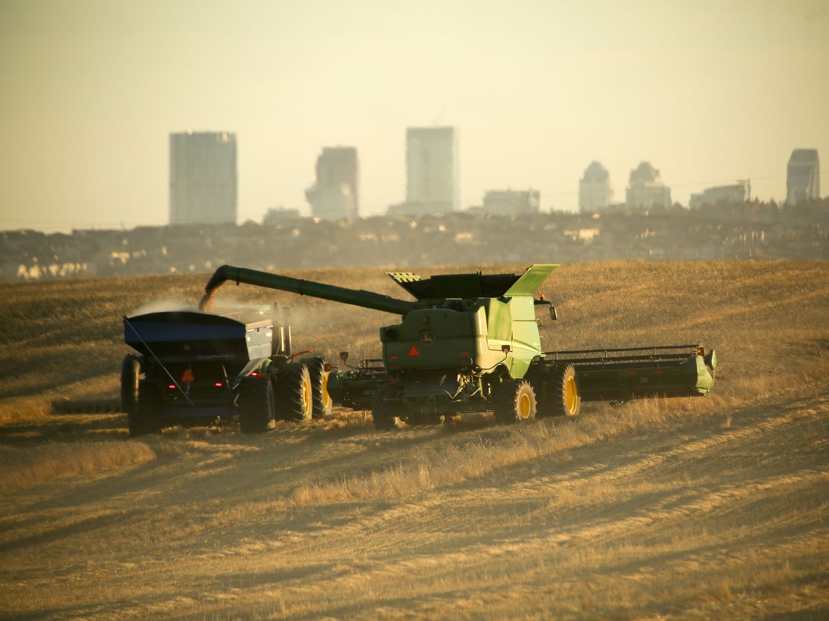 Farmers embrace AI more than any other tech, McKinsey says