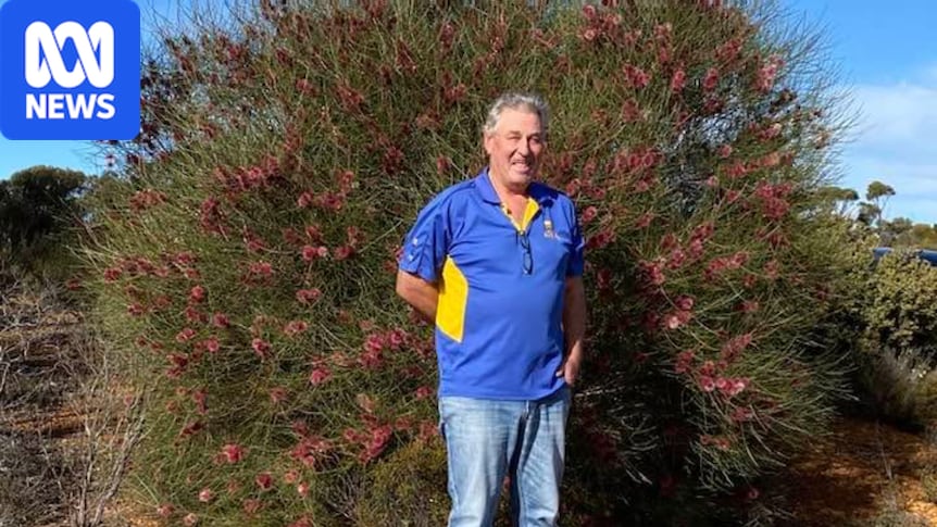 Farmer's legacy lives on in wildflower he discovered before tragic death