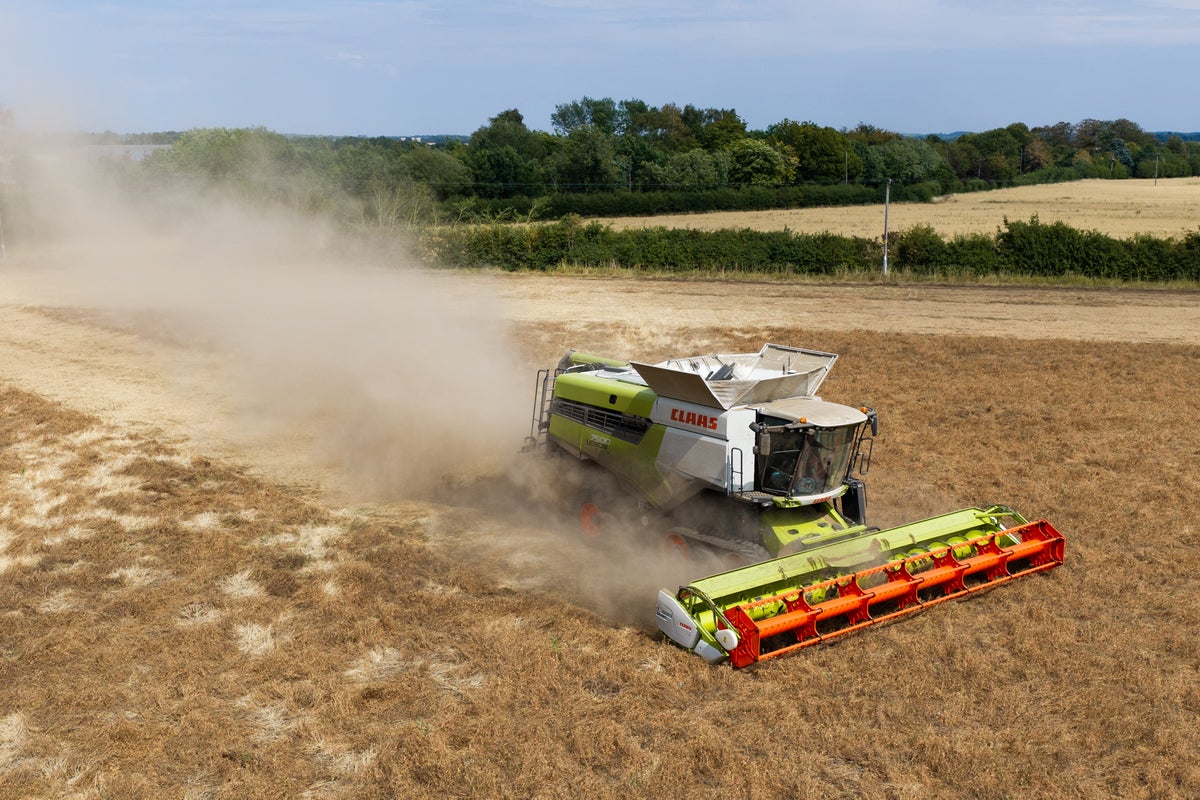 Farmers warn British food security at risk after ‘hardest summer in a generation’