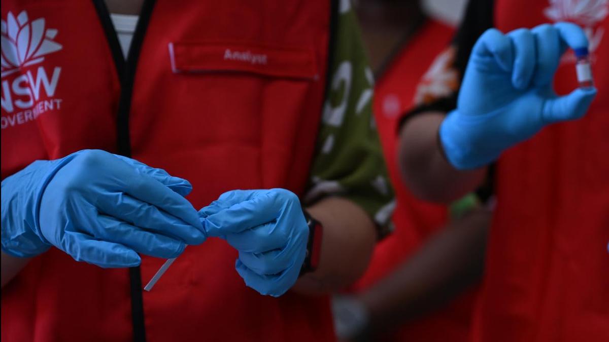 Festival pill testing to become permanent after trial