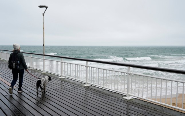 Flasher wearing fishnets leaves dog walkers ‘distressed’ after exposing himself