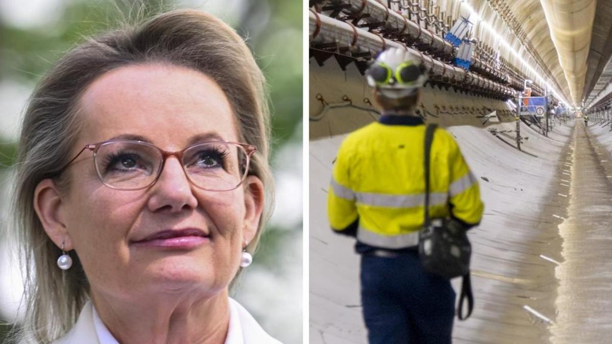 Former opposition leader Sussan Ley appointed to Snowy Hydro board seven months after dumping