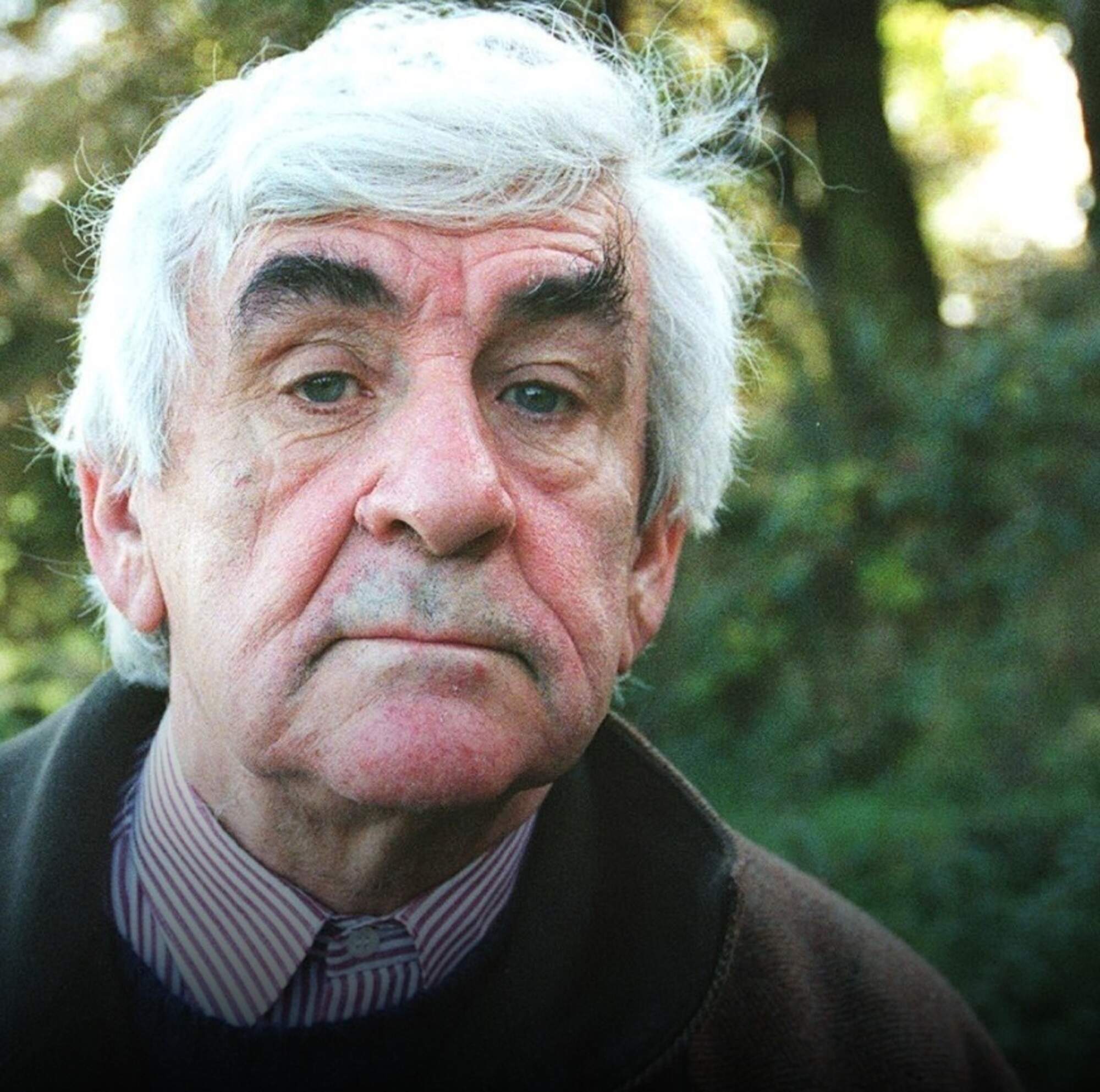 Former ‘Irish Times’ literary editor and critic Brian Fallon dies aged 93