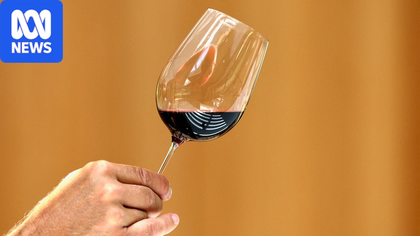 French wine output predicted to be lowest in 30 years