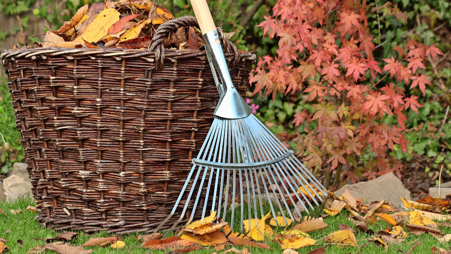 From heatwave to heavy rain – exact steps to repair your garden for autumn & you must start now
